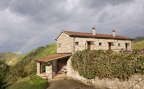 Le Chianine Dei Tognoli