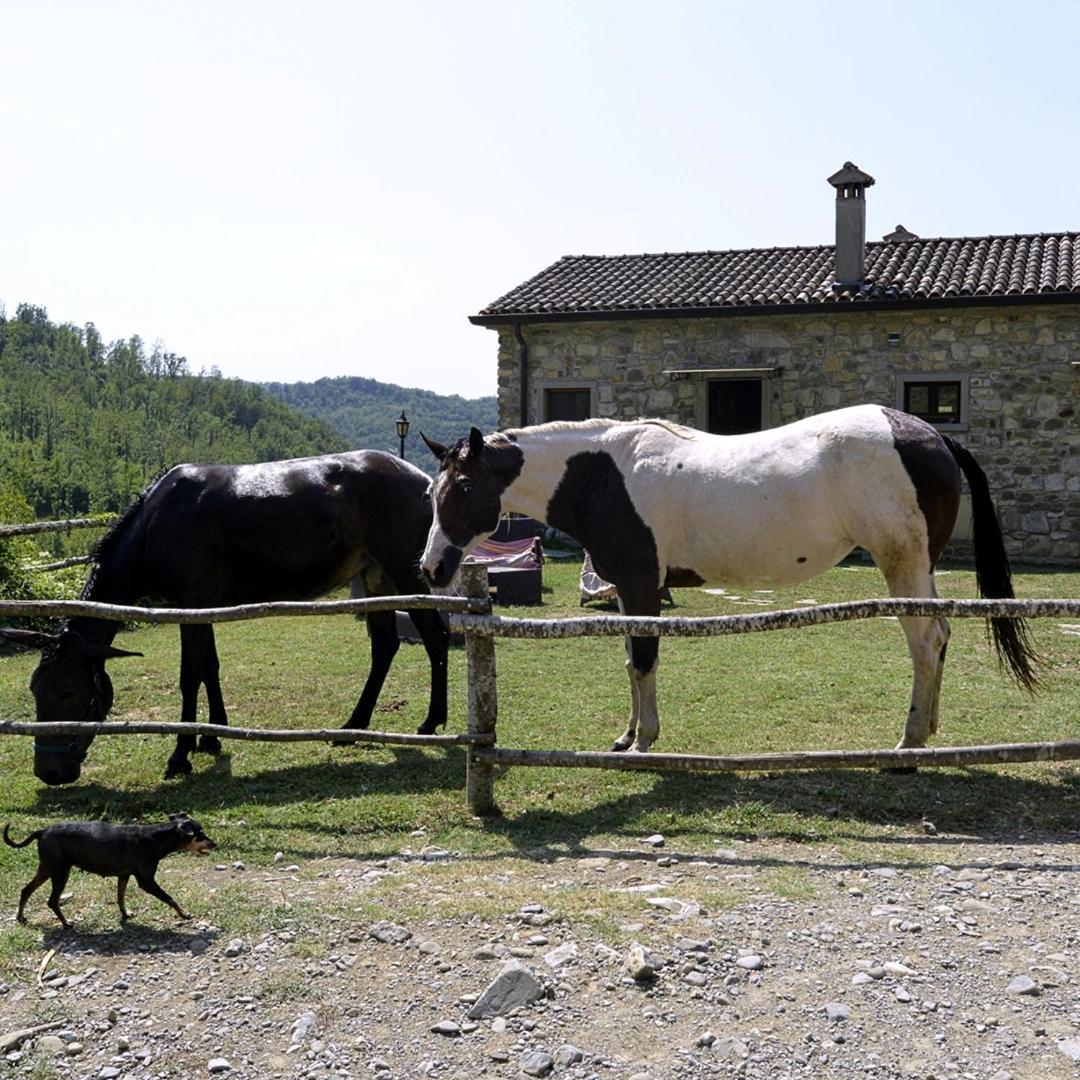 Villa Le Chianine Dei Tognoli à Gragnola Extérieur photo